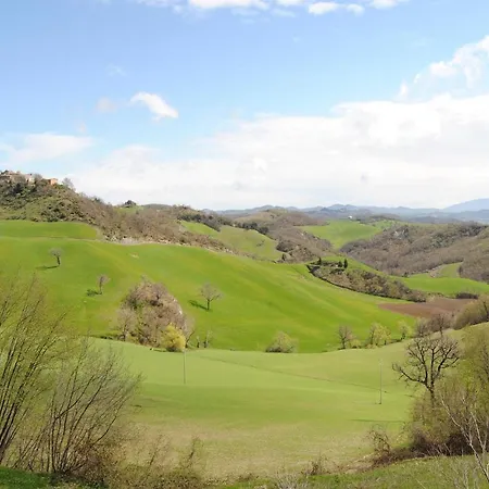 Stunning In * Tolentino